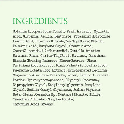 FAYVIOR Unisex Clay Mask Cleanser (120ml)